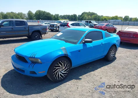 2010 Ford Mustang V6 из США, поврежденный, VIN 1ZVBP8AN2A5124060